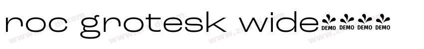 roc grotesk wide字体转换